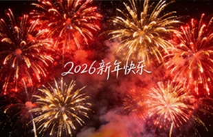 麗水威儀自動(dòng)化技術(shù)有限公司祝大家新年快樂(lè)！